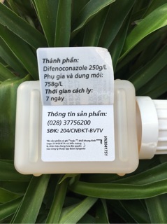 Score 250EC 50ml Syngenta
