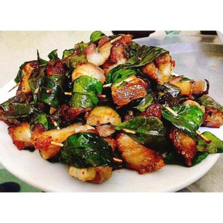 Cây giống mắc mật 15K