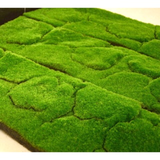 Bột cỏ nhung trang trí mô hình 20g