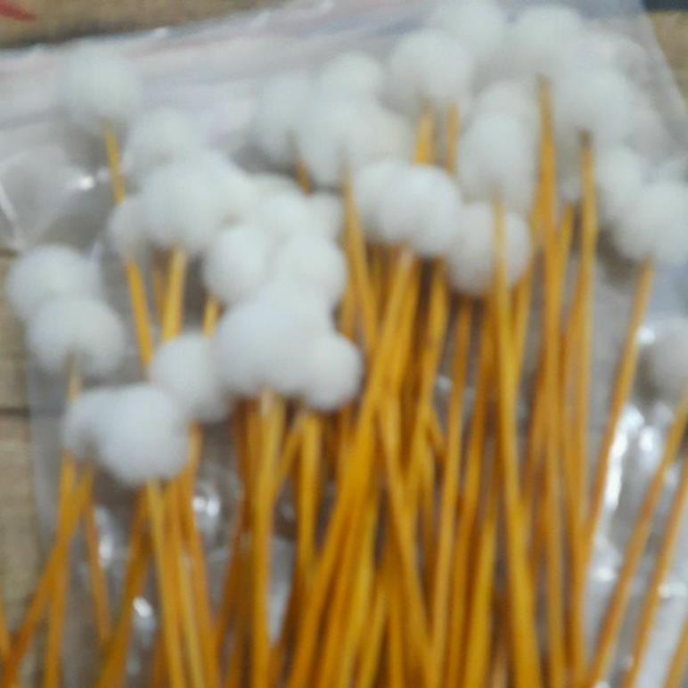 Cây xe lỗ tai gỗ vàng