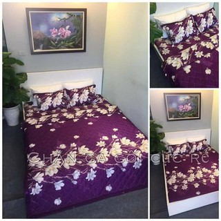 Bộ drap giường cotton lụa cao cấp sao rơi (chọn mẫu)
