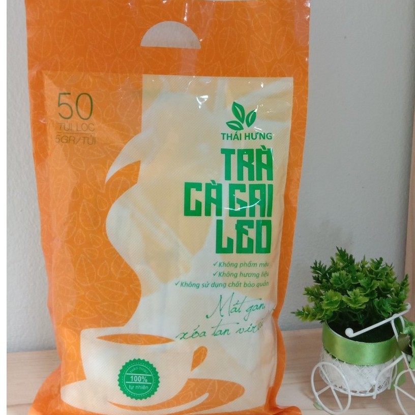Trà Cà Gai Leo THÁI HƯNG Bịch 50 Túi Lọc 250g Thanh Nhiệt Giải Độc Mát Gan 100% Tự Nhiên | BigBuy360 - bigbuy360.vn