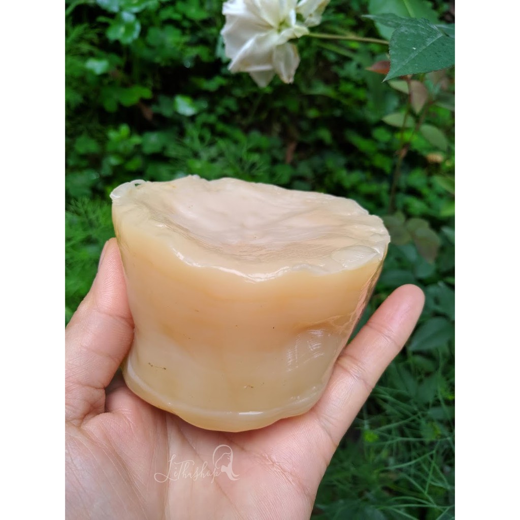 SCOBY Organic - Trà Kombucha Hữu Cơ | BigBuy360 - bigbuy360.vn