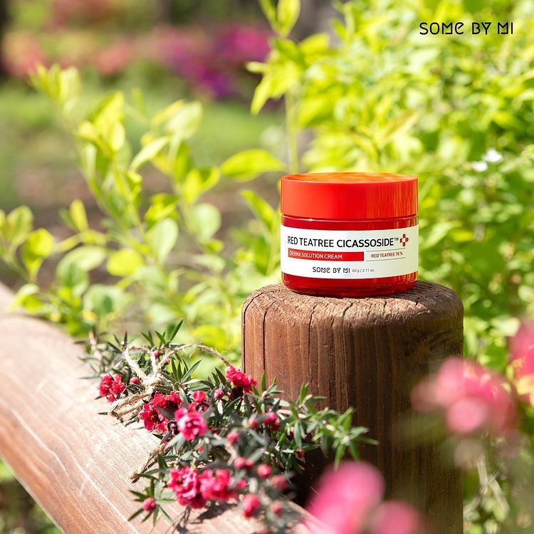 Kem Dưỡng Phục Hồi Da Some By Mi Red Tea Tree Cicassoside Derma Solution Cream 60g - Khongcoson