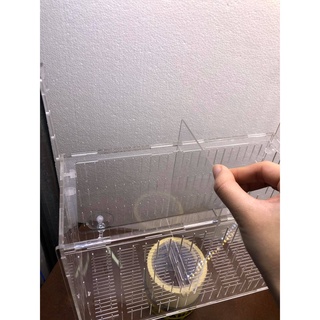Box/ lồng dưỡng tách cá mica cao cấp (40x15x15)
