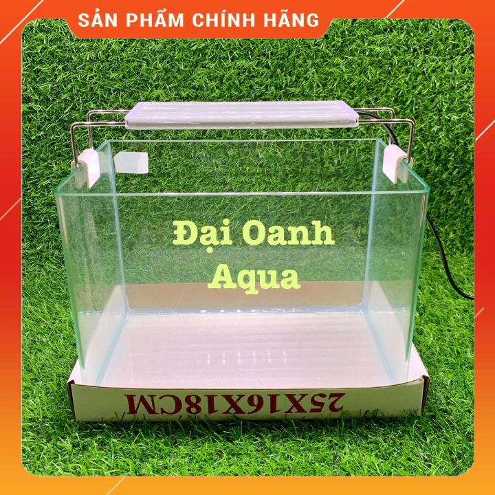 { RẺ VÔ ĐỐI } Bể Cá Kính Đúc Mini 26cm Kèm Đèn Lọc Để Bàn, Dài 26cm Rộng 17cm Cao 19cm - Bể Cá Mini