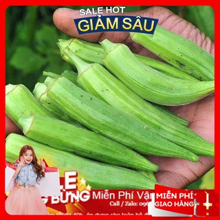 Hạt Giống Đậu Bắp Cao Sản - 10 hạt / Gói