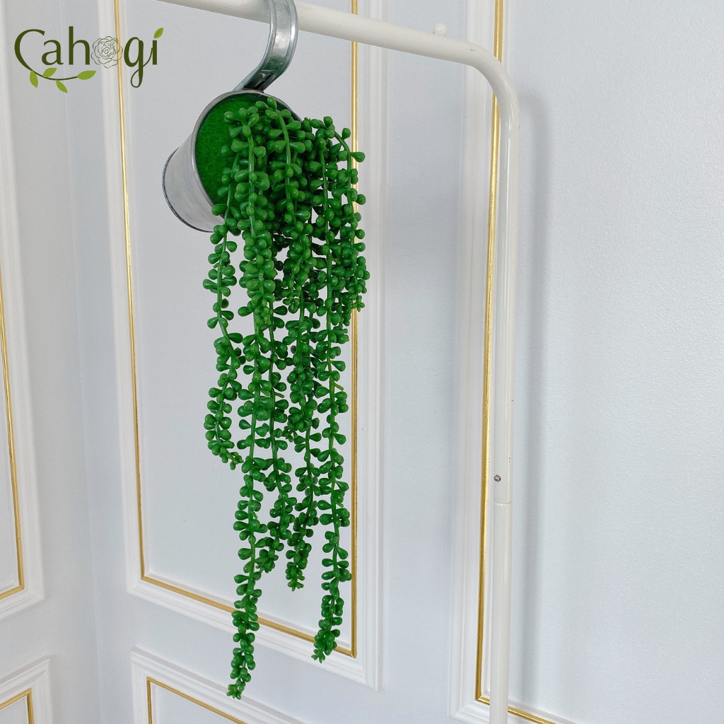 Dây Leo Sen Đá Giọt Nước 48 CM - Dùng Làm Tranh Sen Đá, Xương Rồng, Dây Leo Treo Tường