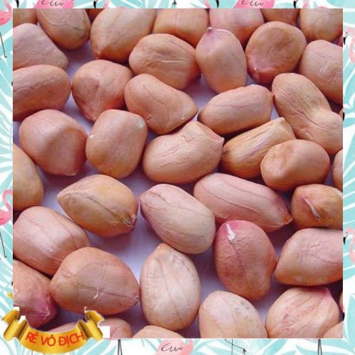 Đậu Phộng MOONFARM Loại 1kg Lạc Tươi Sạch Chuẩn Chất Lượng Hạt Đều To Tròn Ngon Béo