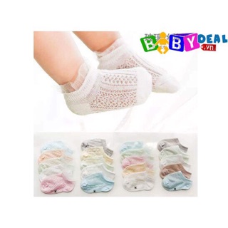 combo tất lố cho sỉ 40 đôi