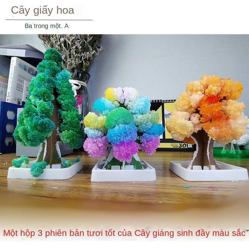 ℗۞✙Sẽ nở hoa, cây giấy, cây thông noel, tưới cây, trồng cây thần kỳ, đồ chơi thí nghiệm khoa học, tặng quà ngày lễ cho t
