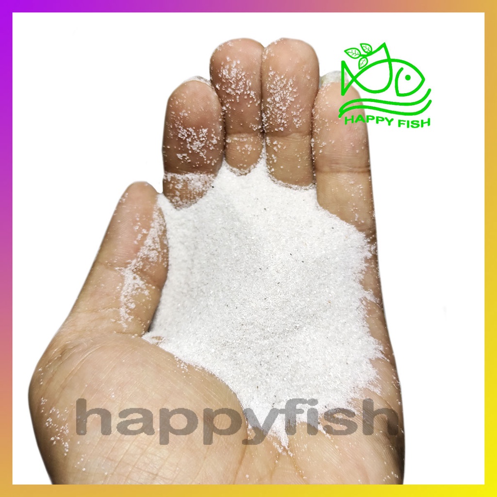 Cát Trắng Trải Nền Bể Thủy Sinh - 500g, 1kg