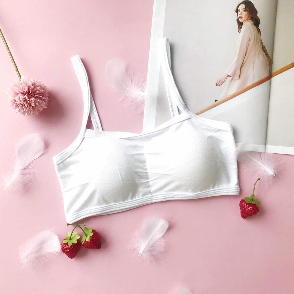 Áo Lót Nữ, Áo Bra Cotton Học Sinh Cao Cấp Có Mút Đệm Ngực Siêu Thấm Hút
