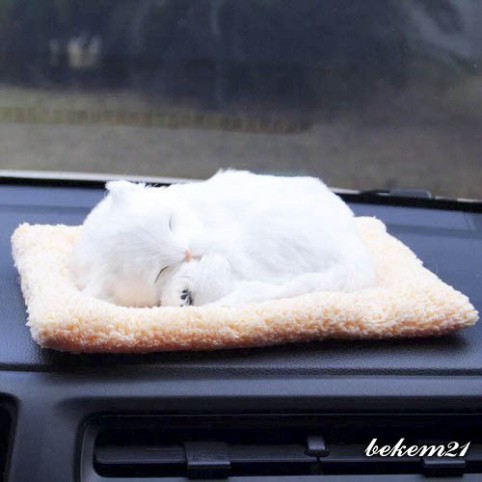 MÈO TRẮNG lông mượt lõi than hoạt tính lọc không khí khử mùi-taplo xe hơi ô tô Thú bông Chó mèo than hoạt tính