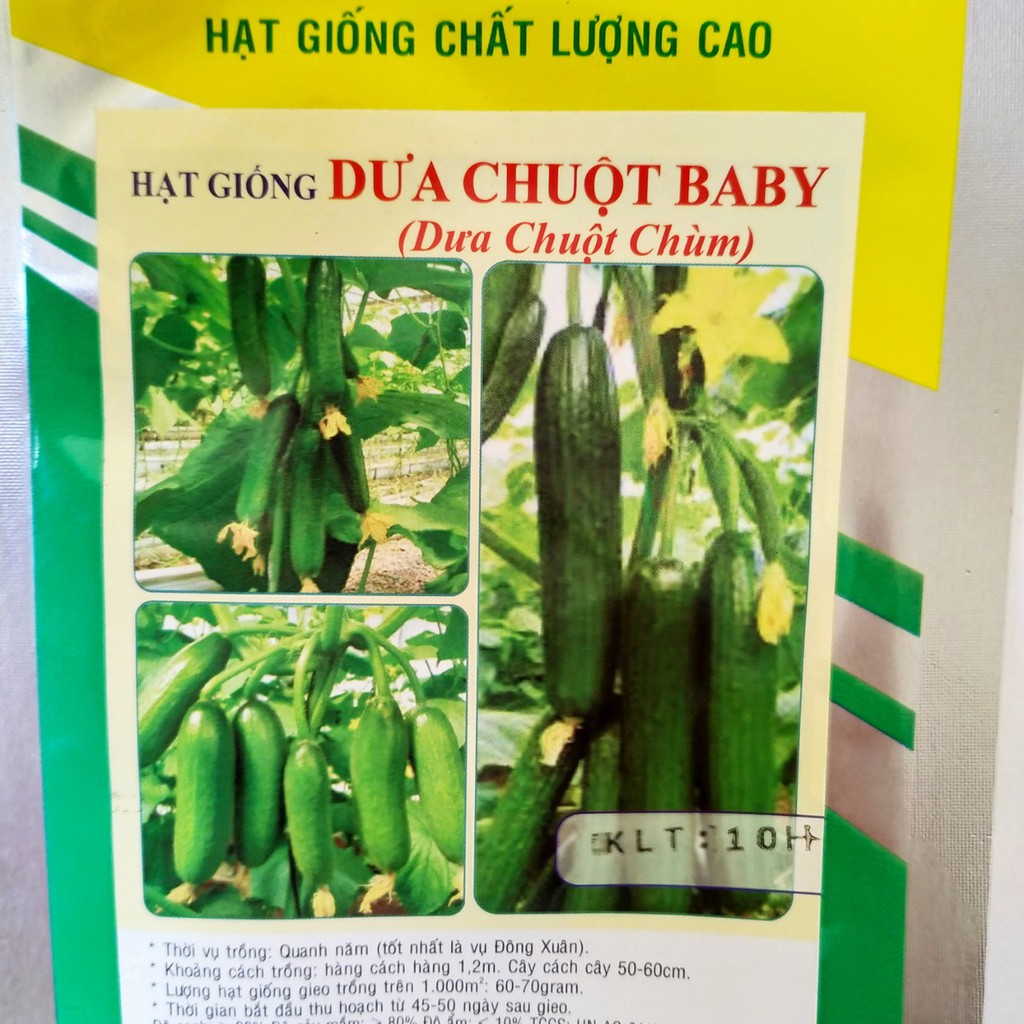 Hạt giống DƯA CHUỘT BABY ( Dưa chuột chùm )