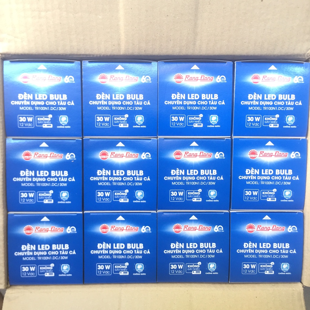 Bóng led 30W 12V - 24V Rạng Đông ắc quy