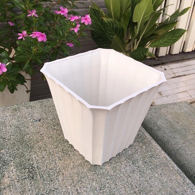 Chậu trồng cây kiểng, cây giả kiểu vuông gân sọc