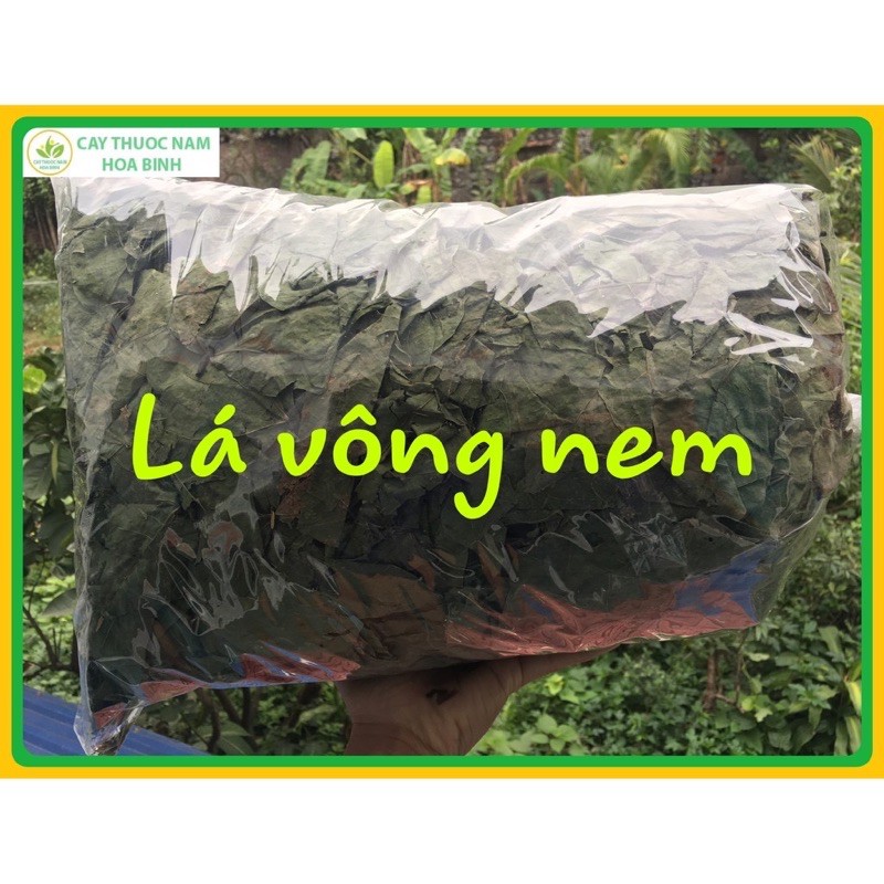 Lá vông nem mất ngủ 1 kg