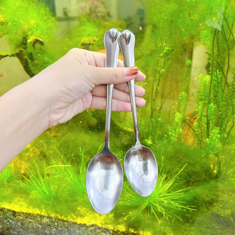 Muỗng ăn cơm, ăn canh,ăn soup nhọn inox cán dài giọt nước loại dày cao cấp - Gia dụng bếp