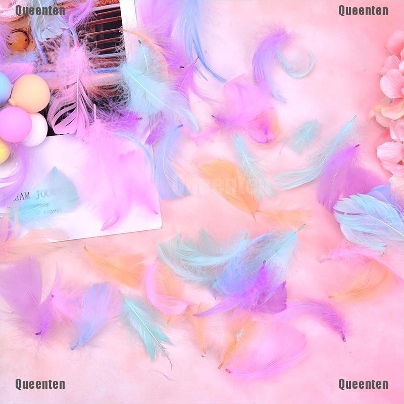 Bộ 100 Lông Vũ Nhiều Màu Sắc Dùng Làm Quà Tặng