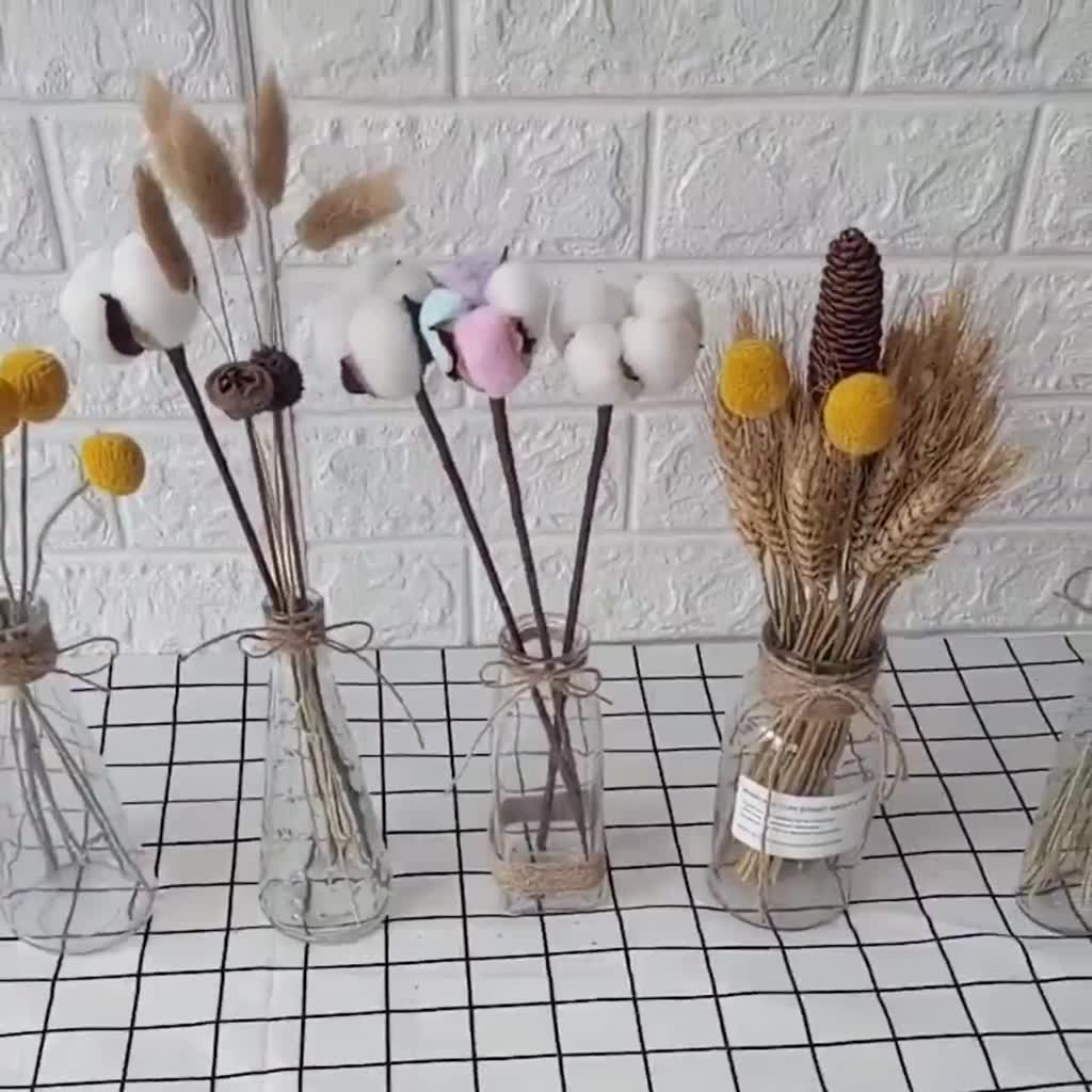 Lọ Hoa Thủy Tinh Trong -bình Hoa Decor Trang Trí Dây Gai Vintage Decor Thích Hợp Cắm Hoa, Trồng Cây Thủy Canh, Trang Trí | BigBuy360 - bigbuy360.vn