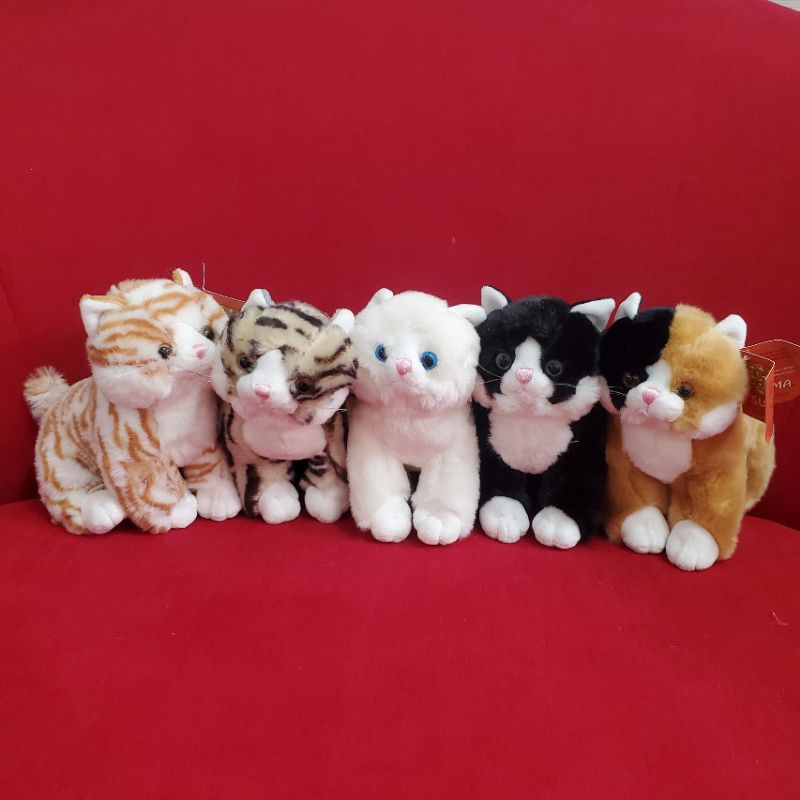 Gấu Bông Mèo Cưng Kitten Dễ Thương Búp Bê Thú Nhồi Bông  Quà Sinh Nhật MIRA-GB28022