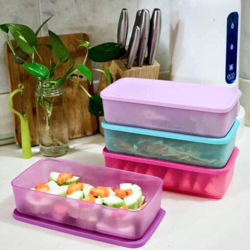 HÀNG CHÍNH HÃNG - Bộ Hộp TRỮ MÁT Tupperware Pak N Stor