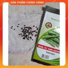 Hạt giống Măng tây xanh gói 100gram( khoảng 4500 hạt)