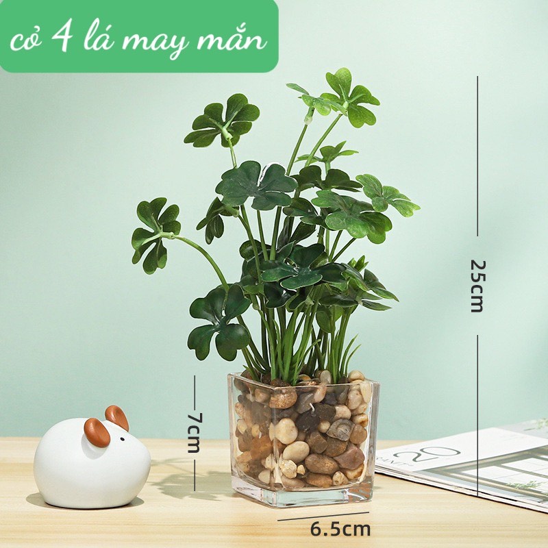Chậu Thủy Tinh Bonsai Cỏ 4 Lá May Mắn (bao gồm chậu thủy tinh) Cây Giả Trang Trí Cửa Sổ, Để Bàn Học, Bàn Làm Việc