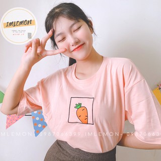 Áo Thun 4D Thêu họa tiết CỦ CÀ RỐT