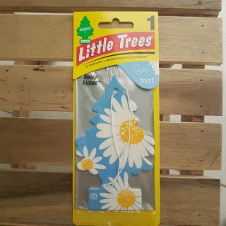 Cây thông thơm little trees mỹ