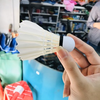 Ống cầu lông Thành Công 77 (12 quả/ống)