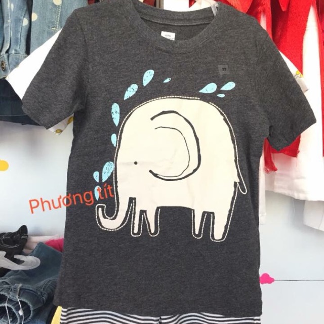 Bộ cộc Little maven