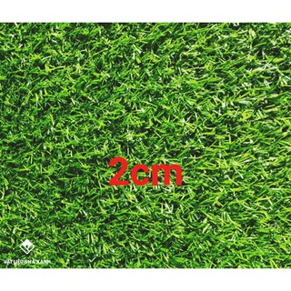1 mét vuông cỏ nhân tạo cao 2cm