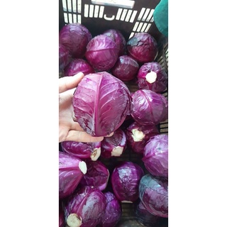Rau củ Đà Lạt combo