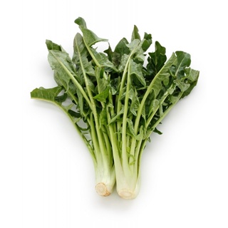 Hạt Giống Chicory Xanh (Rau Diếp Xoăn)