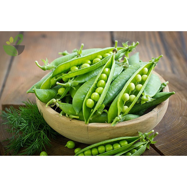 Hạt giống Đậu Hà Lan thu hạt xanh hoặc ăn quả Rado_10g