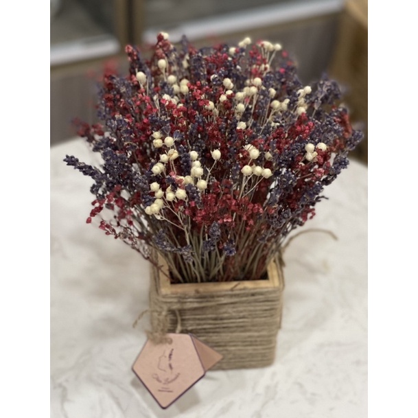 Giỏ hoa Lavender cắm mid Bloom, Linum