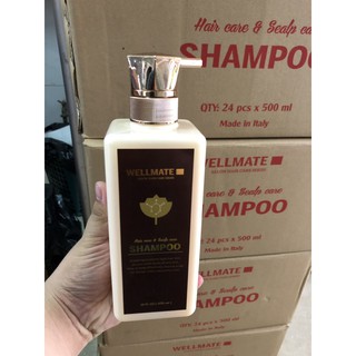 DẦU GỘI WELL MATTE 500ML ITALIA