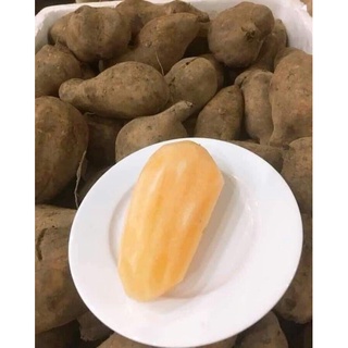 4kg Khoai sâm đất Lào Cai (giao liền nếu đặt hỏa tốc)