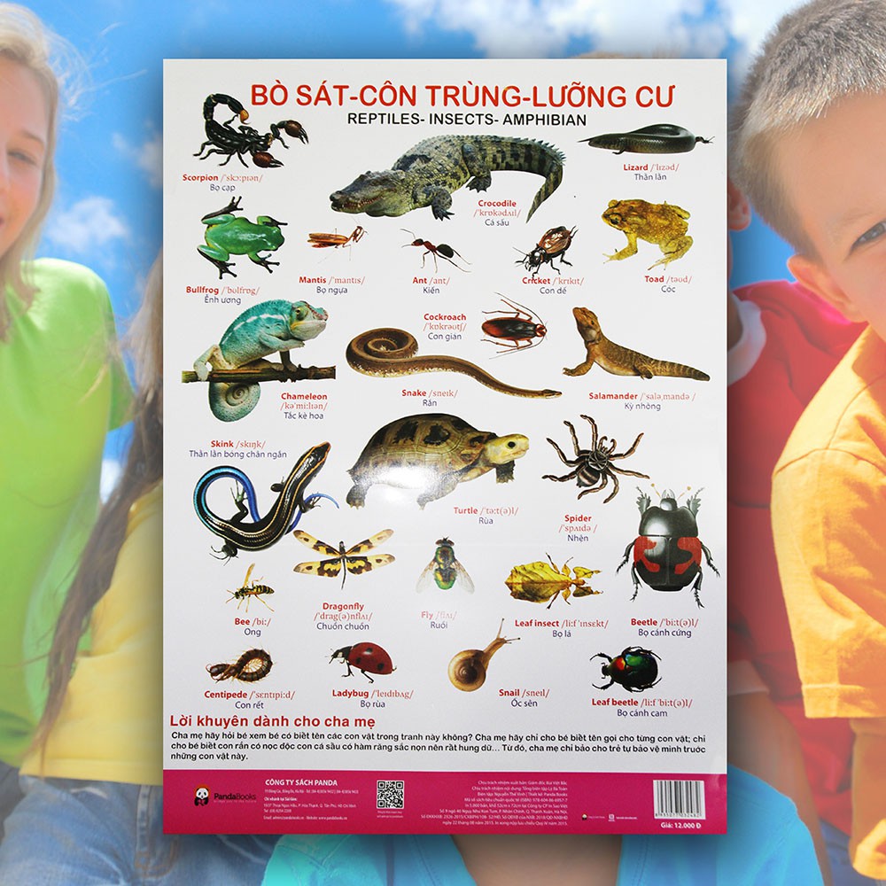 Sách - Poster - Bò sát Côn trùng Lưỡng cư - Phương pháp dạy trẻ trực quan, sinh động, vui nhộn