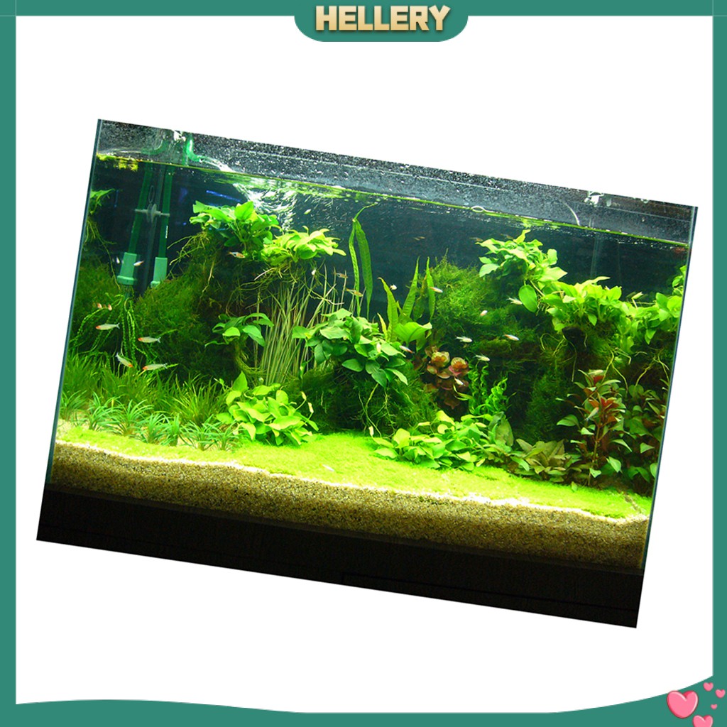 Giấy Dán Tường 3D Độ Nét Cao Trang Trí Bể Cá