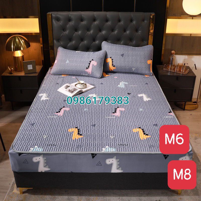 Chiếu Điều Hòa Cao Su Tự Nhiên Bo Chun Cao Cấp