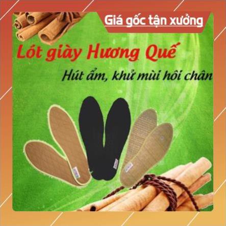 Lót Giày Cao Cấp Hương Quế Nam Nữ Khử Mùi Hôi Chân Thoáng Khí