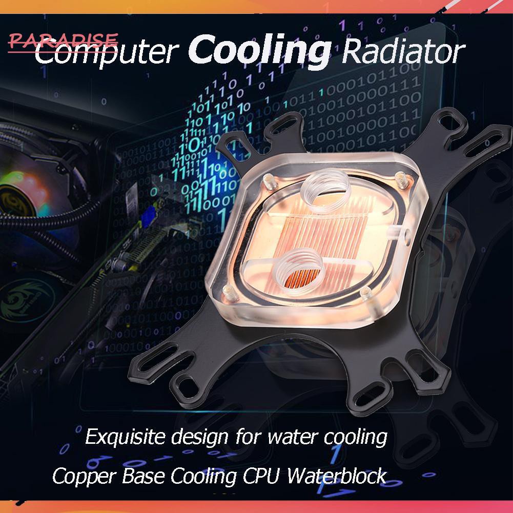 Paradise1 CPU Water Block Water Cooler Computer Cooling Radiator for Intel AMD+Screws