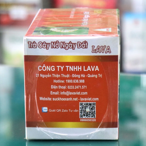 {CHÍNH HÃNG } Trà Cây Nở Ngày Đất LAVA - Hỗ trợ điều trị bệnh gout (hộp 30 gói)
