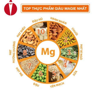 Máy làm sữa hạt ranbem 769s