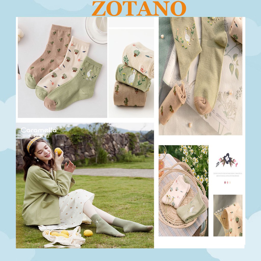 Set 3 đôi Tất nữ cotton Zotano mùa thu cực đẹp phong cách Hàn Quốc TN106