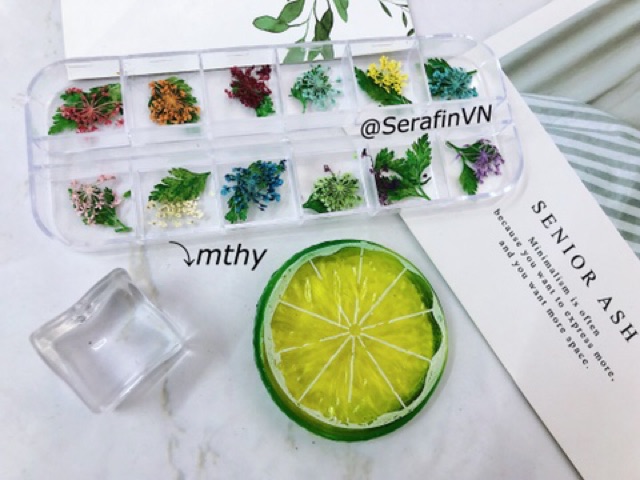 HOA KHÔ LÀM NAIL - ĐẮP ẨN - ĐẮP GEL NHIỀU KIỂU