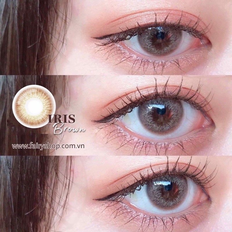 Kính Áp Tròng Iris Brown 14.0mm - Kính Áp Tròng FAIRY SHOP CONTACT LENS độ cận 0 đến 6